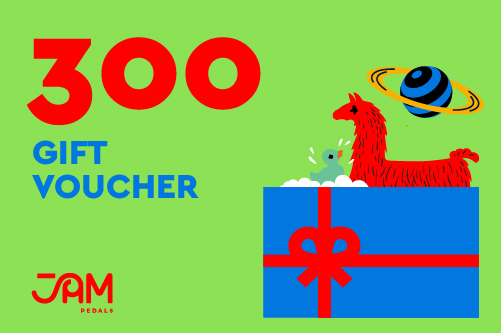 Gift Voucher 300